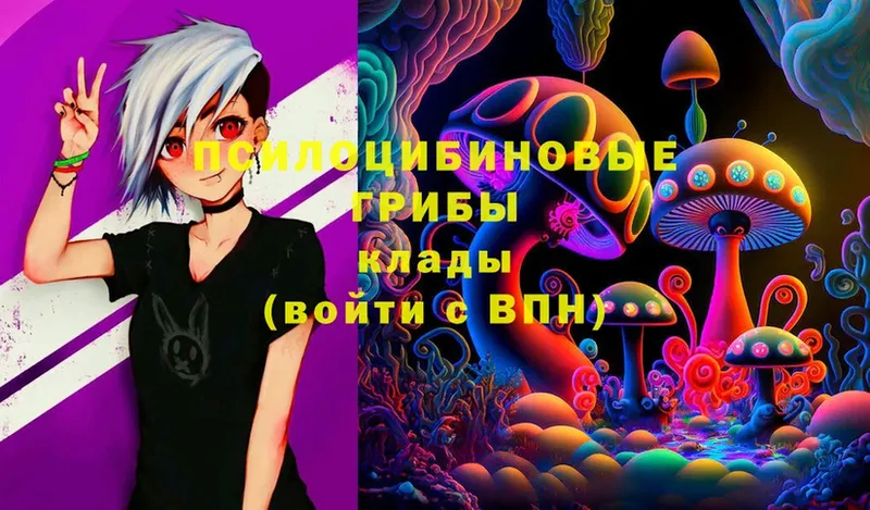 omg ТОР  Дедовск  Галлюциногенные грибы Magic Shrooms 